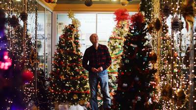 Tree-mendous Christmas Experience aiming to bring another 1,000 people to the museum