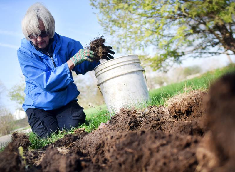 Kaylene Rinehart clears weeds from a display at the Newton Arboretum & Botanical Gardens, 3000 N 4th Ave E, which will be hosting an Earth Day Fair on April 22 with the City of Newton parks and recreation staff.