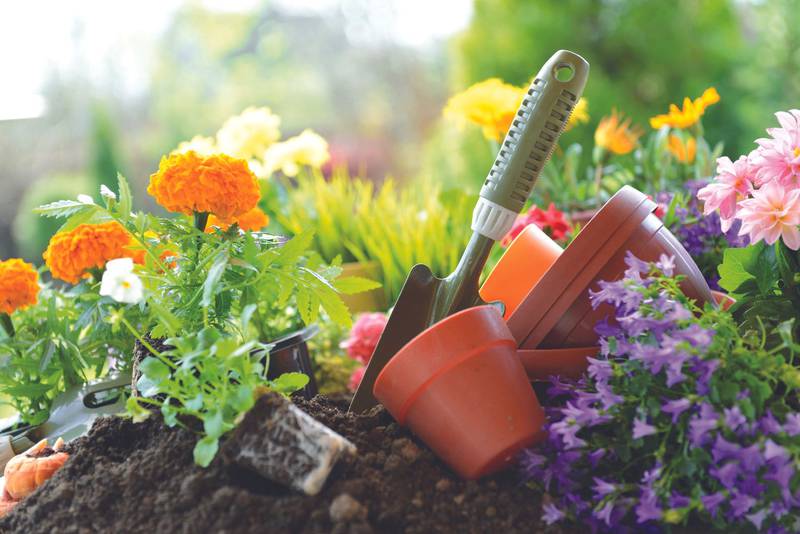 From Seed to Vase: Annuals for the Cut-Flower Garden, Jan. 6 the DMACC Inspiration Garden in the Garden House. Call 641-792-6433 or email campc@iastate.edu to reserve your spot.