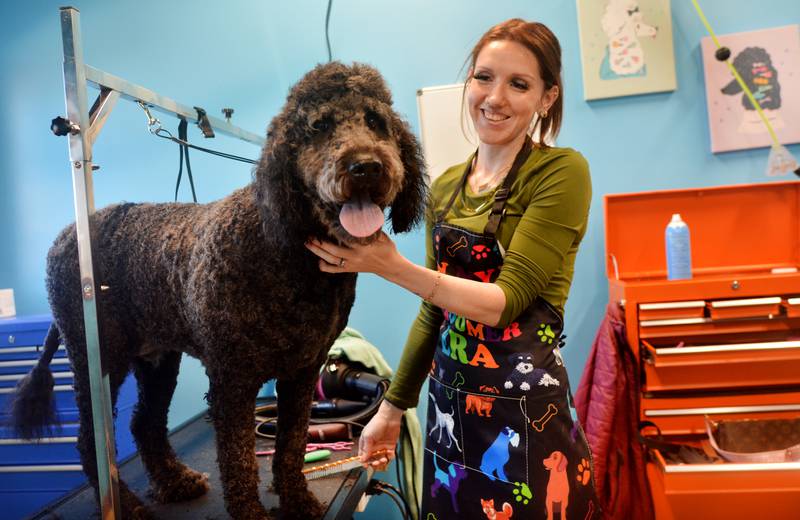 Chelsie Freeman, a grooomer at The Pawlished Dog, trims a four-legged client's coat. The Pawlished Dog is a rural Newton-based dog boarding, grooming and training facility led by Leesa Nieland and daughter Madison Parkhill.