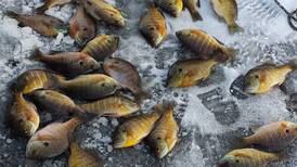 Ice fishing allowed at Cardinal Pond