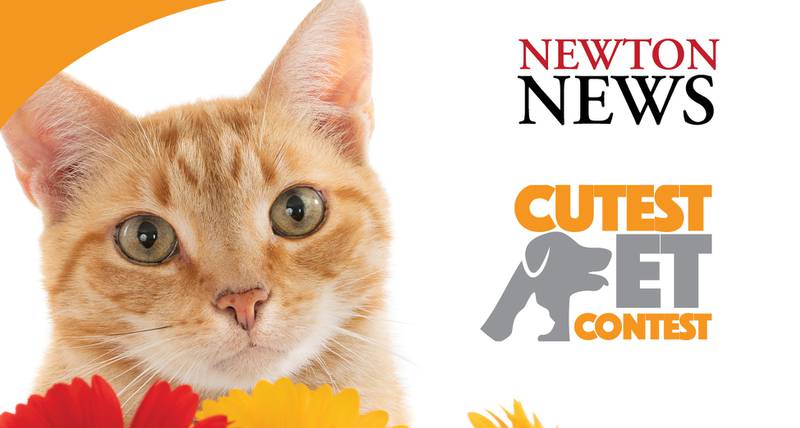 NDN Cute pet 2025