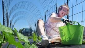 ISU Extension and Outreach want community inspiration garden to be an ‘open classroom’