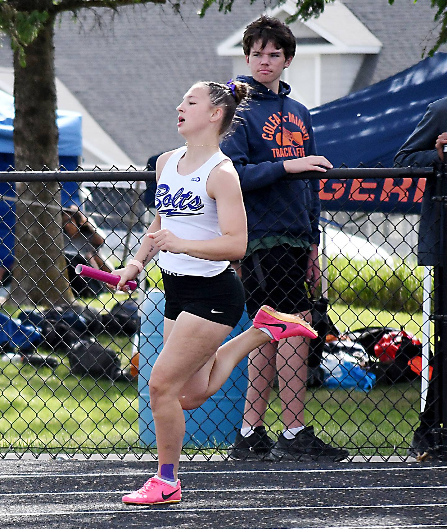 Sydney Hibbs