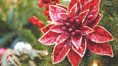 ‘Hanging of the Greens’ service at Our Savior Lutheran Church