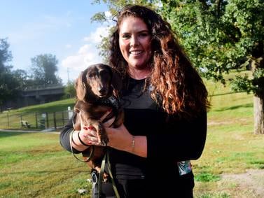 Sunset Dog Park offers spaces for small and large breeds to burn energy