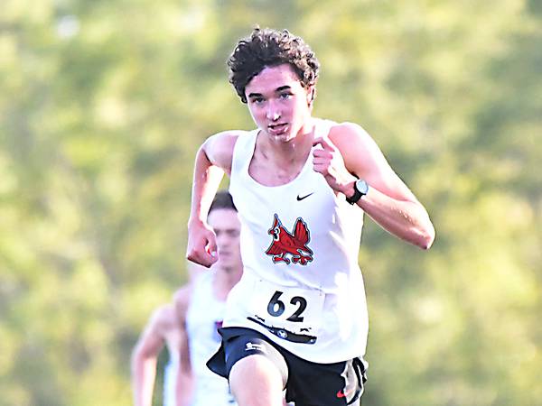 Newton boys end cross country season at state qualifying meet