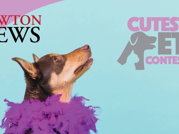 Vote in the Newton Cutest Pet Contest today!