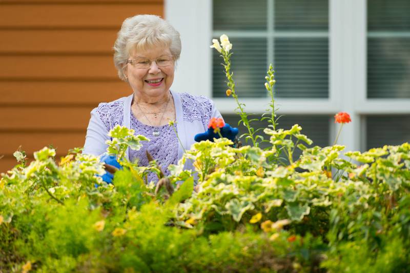 Newton Village - Beat the Heat: Why Senior Living Communities Are the Coolest Places to Be This Summer