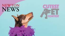 Vote in the Newton Cutest Pet Contest today!