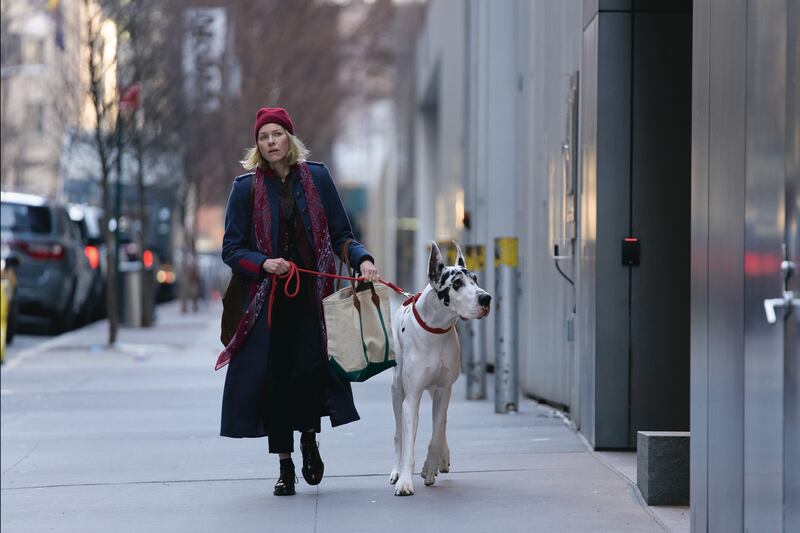 Naomi Watts and Bing, a Great Dane from Newton, in Bleecker Street’s “The Friend.” Bing and his owner, Bev Klingensmith, will be appearing at Q&As and presentations next month at the Capitol II Theatre and Newton Arboretum and Botanical Gardens.