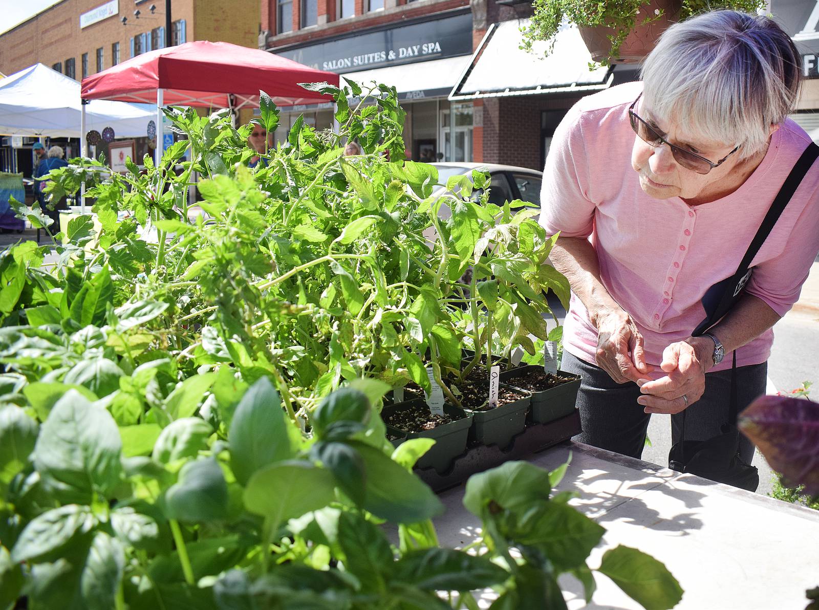 Newton Farmers Market returns June 7 Newton Daily News