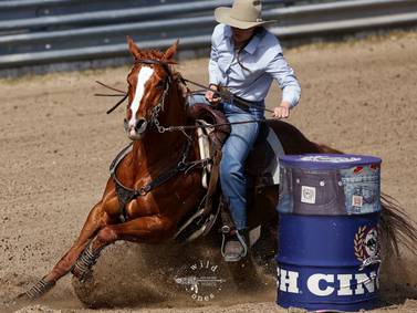 No horsing around here