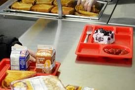 NCSD takes families to small claims for overdue lunches, unpaid fees