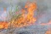 Residents required to notify dispatch before a controlled burn starting July 1