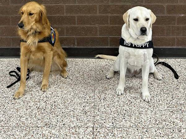 Special canines to visit NPL