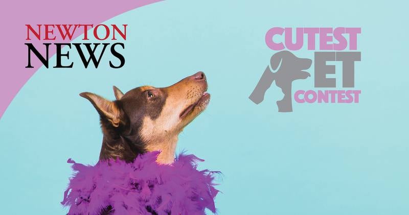 Vote promo - NDN cute pet