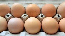 Domestic livestock ordinance in Newton not likely to change