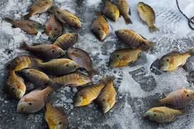 Hooked on ice fishing? Cardinal Pond could be next