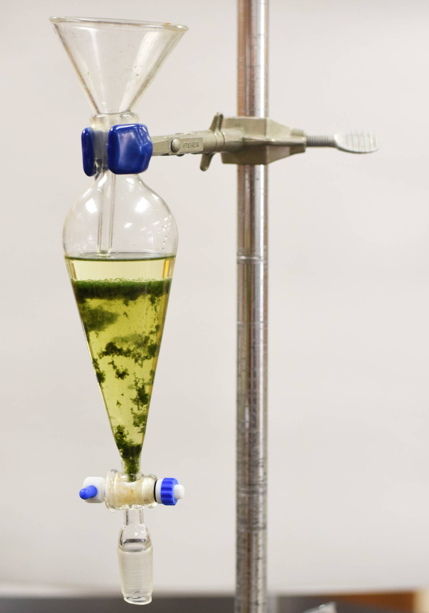 Biofuel made from algae rises to the top of a separating funnel on May 19 inside the Fledge classroom of Newton High School.