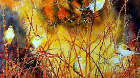 Traveling art exhibit coming to Legacy Plaza in October