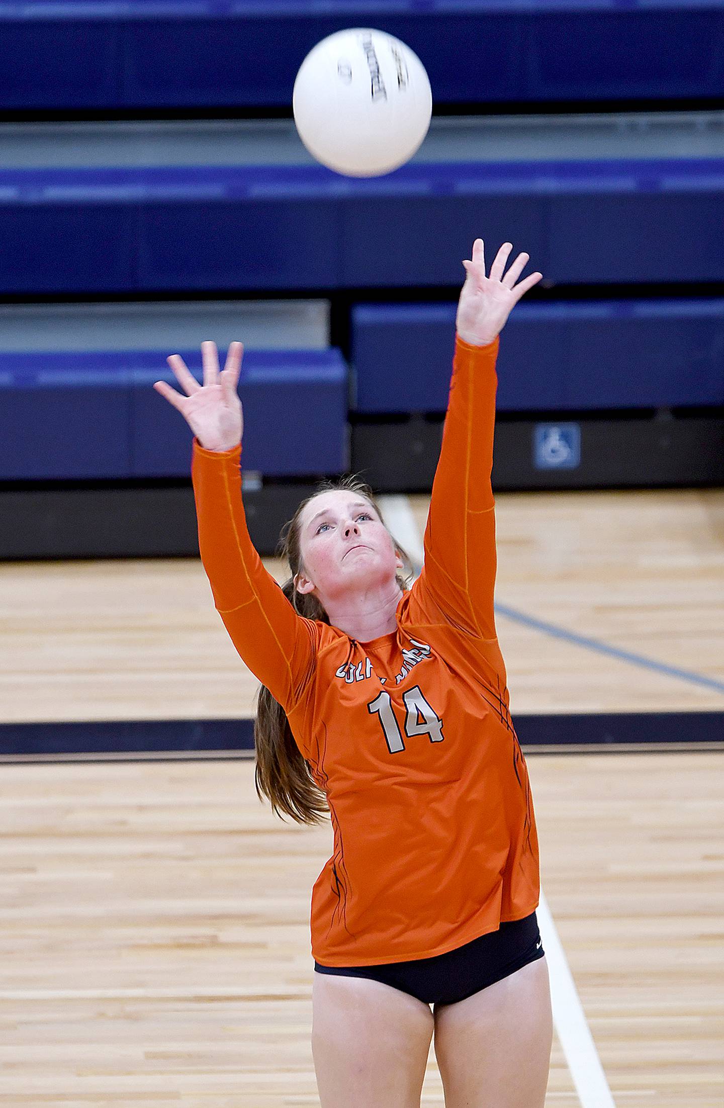 Madison Stackhouse