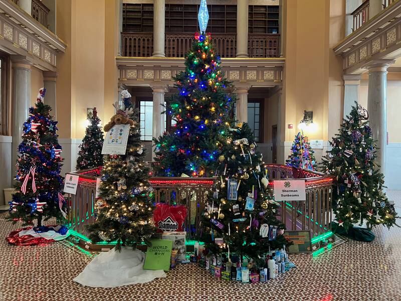 The annual Jasper County 4-H Festival of Trees is now set up at the courthouse in Newton. The trees have a variety of themes with an overall theme of “giving.”