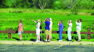 Free Bird Watching and Bagels Program
