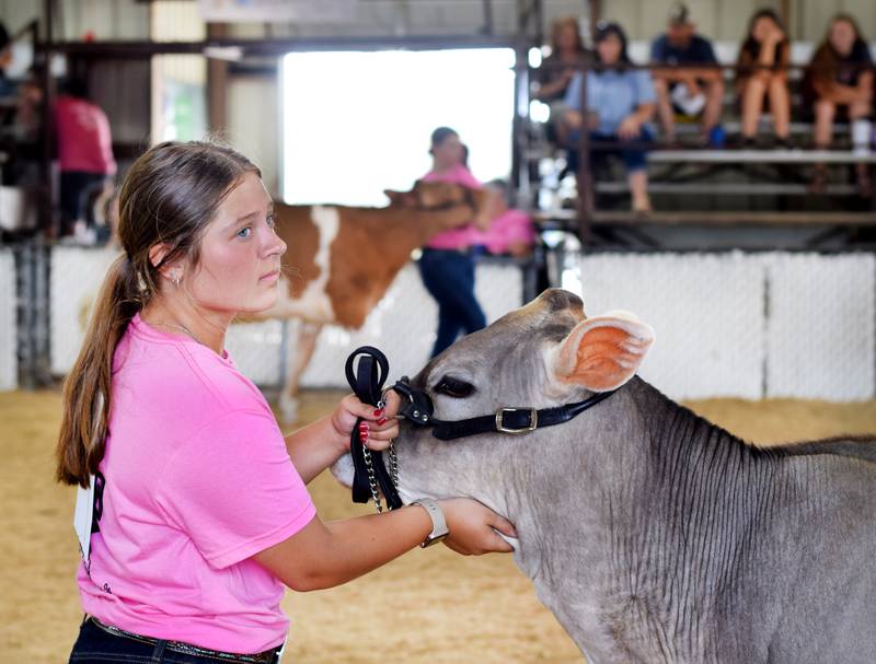 Elise Engle, 15, of Colfax, was named grand champion of the Brice Leonard Supreme Showmanship Contest on July 22 at the Jasper County Fair.