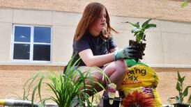 Newton students find their inner gardener to beautify unused courtyard space