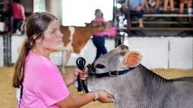 Good show! Elise Engle is champion of Supreme Showmanship Contest