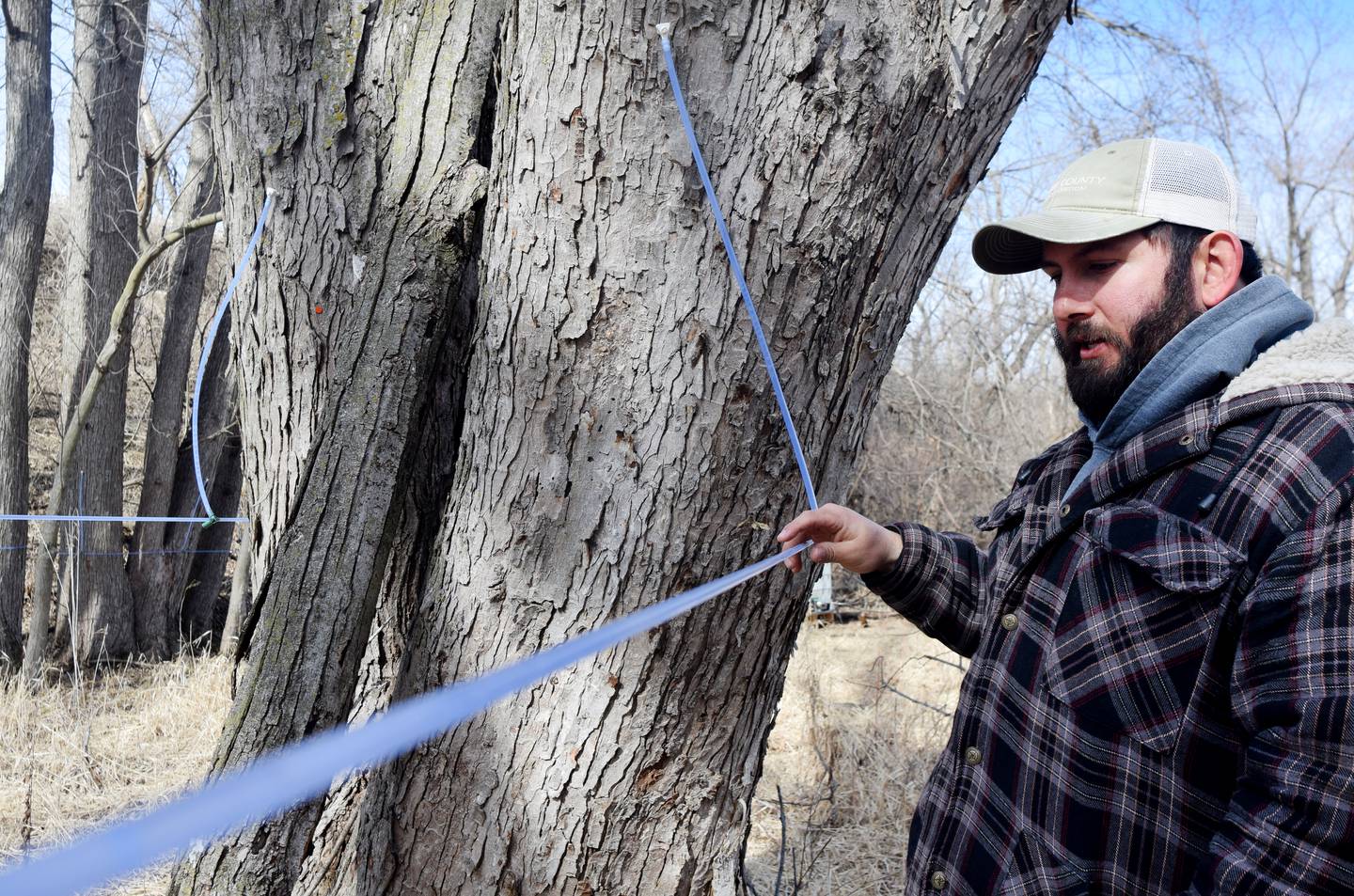 Greg Oldsen, a naturalist for Jasper County Conservation, shows off the suction tubing system at Jacob Krumm Nature Preserve. The system allows staff to extract sap from maple trees very quickly.
