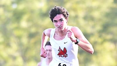 Newton boys end cross country season at state qualifying meet