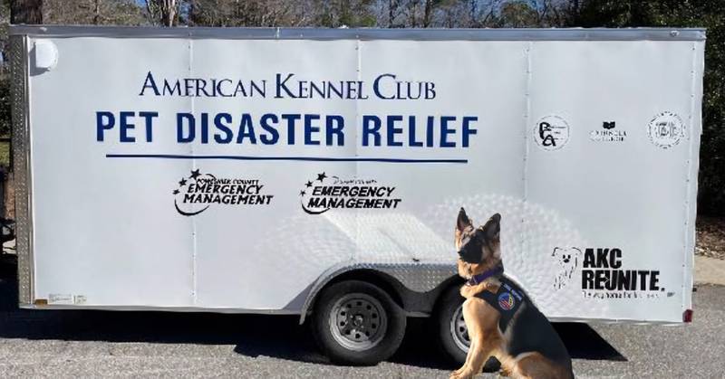 Jasper County Emergency Management's new AKC Reunite Trailer will be with Midland Prairie Veterinary Services from 1 to 4 p.m. Wednesday, May 8 in Colfax.
The first 25 animals to visit get a free Reunite microchip. There will also be dogs from the Midland Prairie Crisis Canines attending, including their own River, the Crisis Canine.