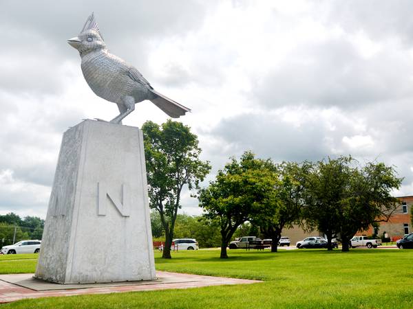 Newton schools to develop emergency communication plan for parents
