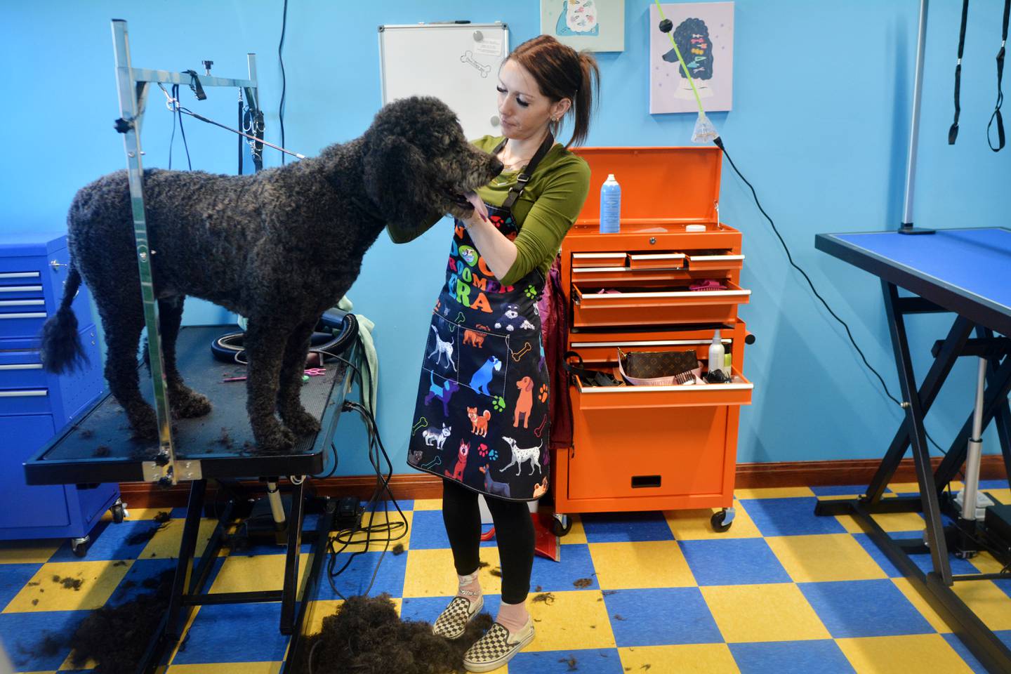 Chelsie Freeman, a grooomer at The Pawlished Dog, trims a four-legged client's coat. The Pawlished Dog is a rural Newton-based dog boarding, grooming and training facility led by Leesa Nieland and daughter Madison Parkhill.