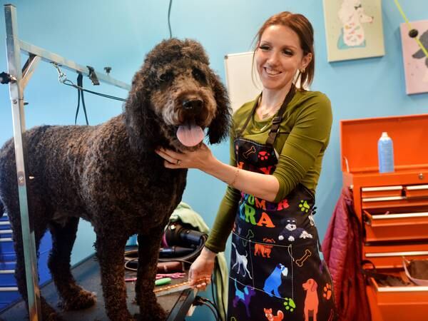 The Pawlished Dog was created with its four-legged customers in mind