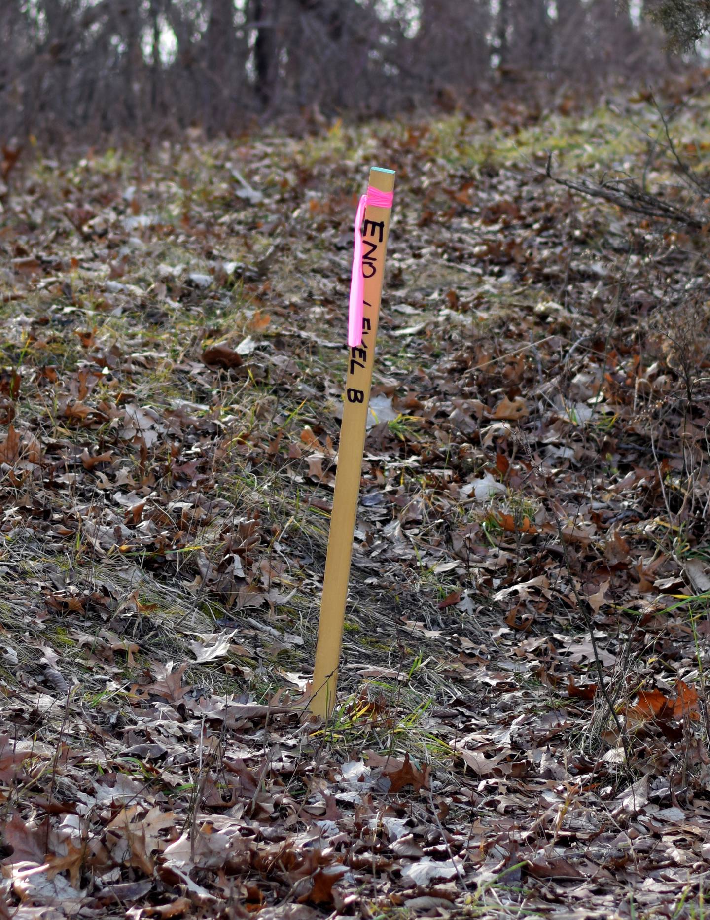 Surveying stakes mark the end of the Level B road that the county argues was never officially abated, despite the roadway being eroded and filled with trees and shrubs.
